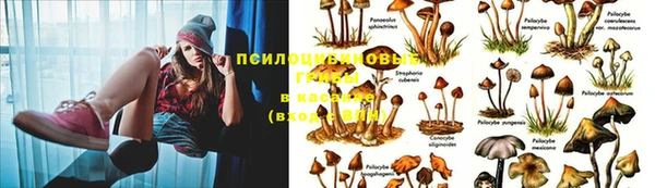 МДПВ Дмитриев