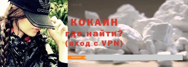 МДПВ Дмитриев