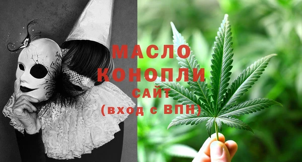 МДПВ Дмитриев